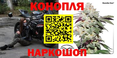 альфа пвп Волгодонск